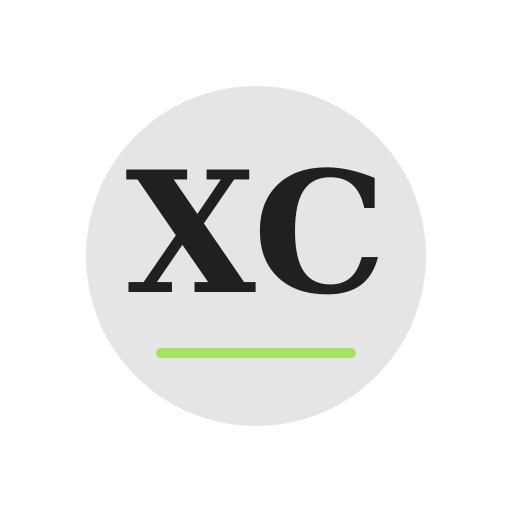 Xayor Chimney Services logo